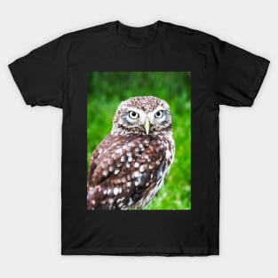 Pygmy Owl T-Shirt